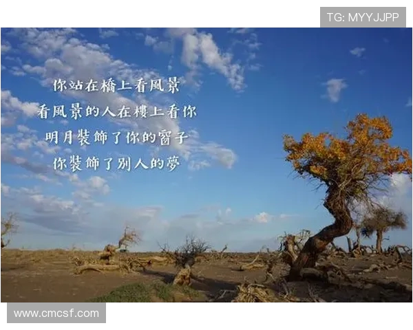 杨芳专访：从初学者到攀岩高手的心路历程与成长故事